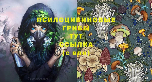 гидра Нефтегорск