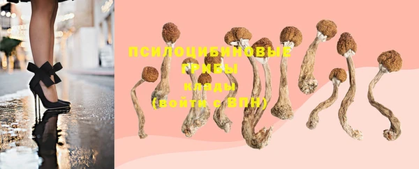 винт Нея