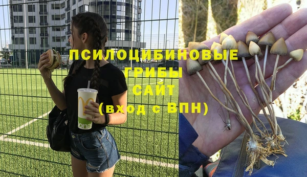 бошки Нефтекумск