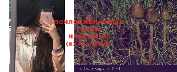 бошки Нефтекумск
